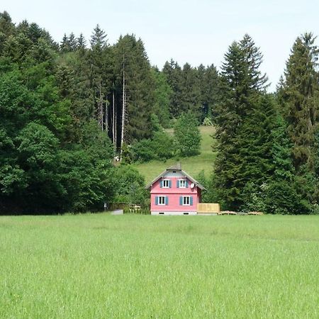 Erwíns Ferien-Paradies Hörbranz Exterior foto