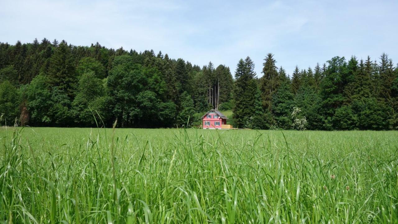 Erwíns Ferien-Paradies Hörbranz Exterior foto
